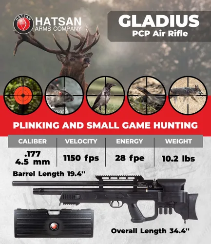 Vista 2 de Gladius - Rifle de aire con paquete de objetivos de papel Wearable4U 100x y pellets de plomo incluidos