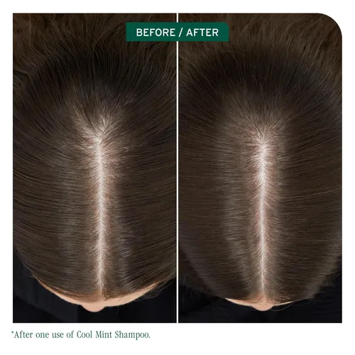 Vista 2 de Biolage Cool Mint Shampoo - Balancing Shampoo for Oily Scalp, Gently Cleanses, Refreshes & Helps Balance, Mint & Glycerin, Vegan & Paraben-Free