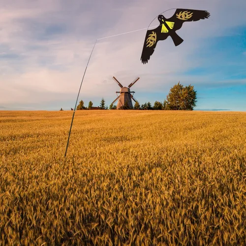Vista 6 de Cometa de Halcón para Aves, Cometa Voladora para Protección de Cultivos Espantapájaros, Cometas Voladoras Sin Mástil - Estilo E
