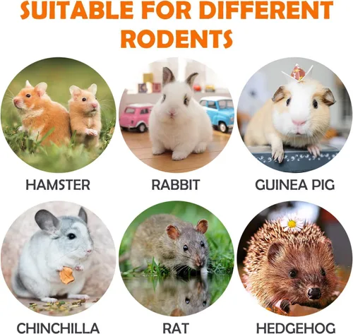 Vista 3 de Sofier Timothy Heno Treats - 16 golosinas masticables naturales para dientes hechos a mano para conejo, chinchilla, jerbo, rata, hámster juguetes