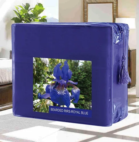 Vista 27 de Juego de ropa de cama Elegant Comfort, de 3 piezas, elegante, no se arruga, 1500 hilos egipcios