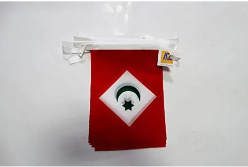 Vista 332 de Guatemala 19.7 ft BUNTING Flag 20 banderas 9'' x 6'' - Banderas de cuerda guatemalteca 5.9 x 8.3 in - AZ FLAG