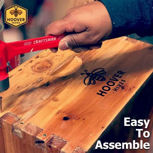 Vista 8 de Hoover Hives 8 marcos de colmena Langstroth sumergido en cera de abeja 100% incluye marcos de madera y bases enceradas