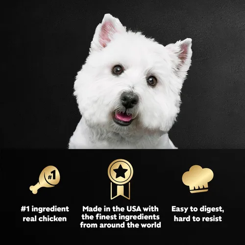 Vista 2 de Cesar Filets in Gravy, alimento húmedo para perros adultos, sabor a pollo asado, comida húmeda para perros, bandejas de 3.5 onzas, 24