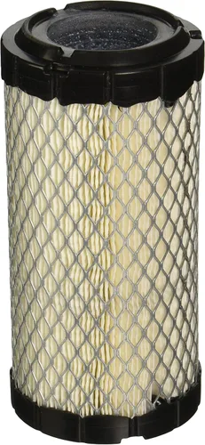 Donaldson P822686 - filtro de aire con sello radial, tipo primario