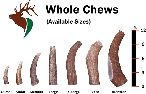 Vista 3 de Elkhorn Premium Chews - Paquete individual pequeño (para perros y cachorros de 10 a 30 libras) asta de alce de grado premium para perros (1 pieza)