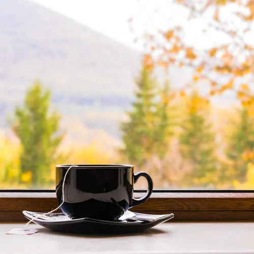 Vista 6 de Chocolate de almendras, té verde de hojas sueltas, con cafeína, caliente y helado, 80-100 tazas a granel The Spice Hut, primer sorbo de té
