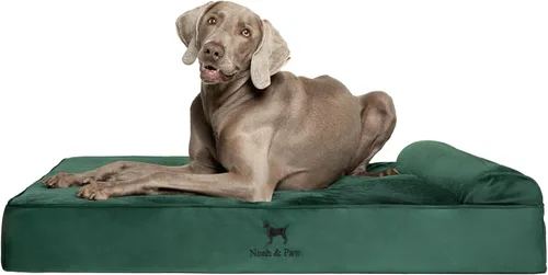 Vista 41 de NOAH & PAW Cama pequeña para perros, 20 x 15 x 6.5 pulgadas, cama para gatos de interior, espuma viscoelástica ortopédica de cáscara de huevo Verde