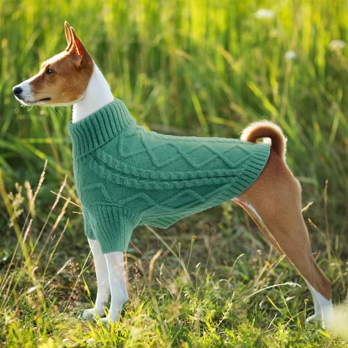 Vista 6 de Emust Suéter para perro pequeño, trajes de cable para perros pequeños, suéteres cálidos de otoño e invierno para perros pequeños y medianos, azul