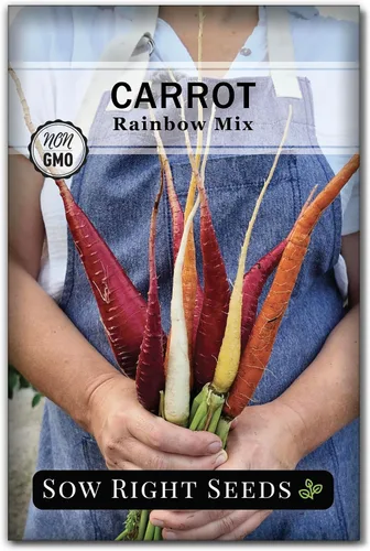 Sow Right Seeds - Semillas de zanahoria Rainbow Mix para plantar - Paquete de reliquia sin OMG con instrucciones para plantar un huerto casero -