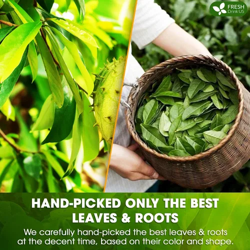 Vista 629 de FreshDrinkUS, 135 bolsas de té de jengibre y cúrcuma premium, ingredientes 100% naturales, mezcla hecha a mano de té de hierbas de cúrcuma