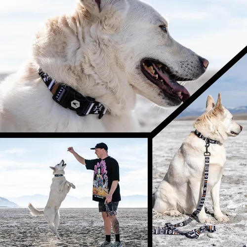 Vista 6 de Wolfgang - Collar de perro resistente y ajustable con hebilla de nailon de liberación rápida para caminar y entrenar, estampado NewMoon, talla L