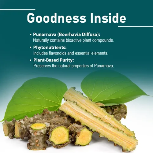 Vista 3 de minature Giloy 90 tabletas 1000 mg Suministro para 45 días Giloy 100% natural/Guduchi Vegano de la India