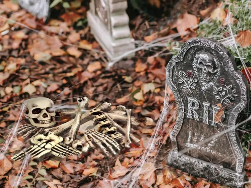 Vista 5 de Decoración de esqueleto para Beistle de 12 piezas de plástico, huesos de esqueleto y calavera de terror, decoración de casa embrujada, suministros