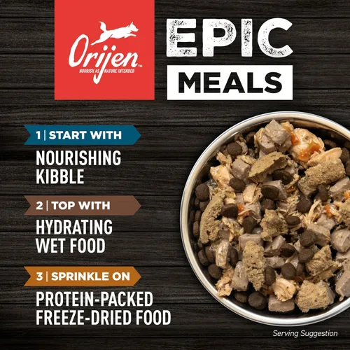 Vista 9 de ORIJEN Amazing Grains - Comida seca para perros con alto contenido de proteínas, bolsa de 4 libras