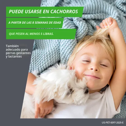 Vista 6 de Pipeta Frontline Plus para control de pulgas y garrapatas, para perros y cachorros de 8 semanas o más y de 5 a 22 libras, 6 dosis