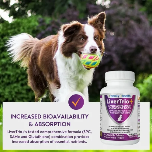 Vista 10 de Suplemento integral de apoyo hepático para perros más pequeños. Tabletas masticables sabrosas que combinan las mismas, SPC, silybin A+B, + glutatión