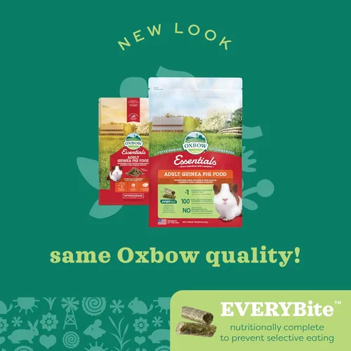 Vista 8 de Alimento para conejillos de indias Oxbow Essentials, para conejillo de indias adulto, hecho con heno timothy Oxbow, pellets de comida para mascotas