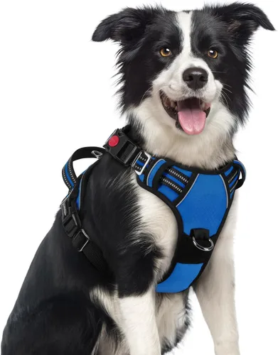 Vista 51 de rabbitgoo Arnés para perro de tamaño pequeño, chaleco para perro sin tirones con 3 hebillas, arnés ajustable y acolchado suave para mascotas con asa