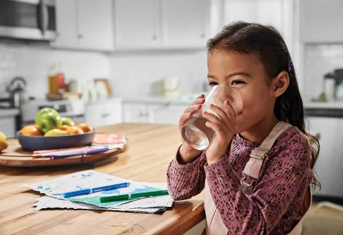 Vista 9 de Frigidaire Filtro de agua ULTRAWF PureSource Ultra, original, blanco, 1 cuenta