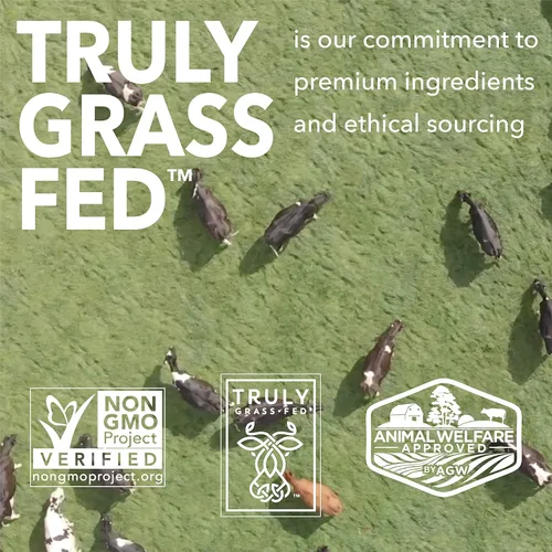 Vista 7 de ICONIC Proteína en polvo, trufa de chocolate - Libre de azúcar, proteína baja en carbohidratos - Libre de lactosa, sin gluten, sin transgénicos