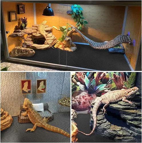 Vista 6 de Alfombra de Reptil, Alfombrilla de Reptil, Dragón Barbudo, Sustrato de Gecko Leopardo, Piso para Tanque de Dragón Barbudo, Serpiente, Cama