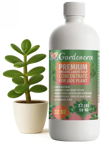 Vista 42 de GARDENERA Superalimento orgánico prémium de algas marinas y algas marinas para plantas AGLAONEMA, 8 onzas, concentrado de fertilizante líquido