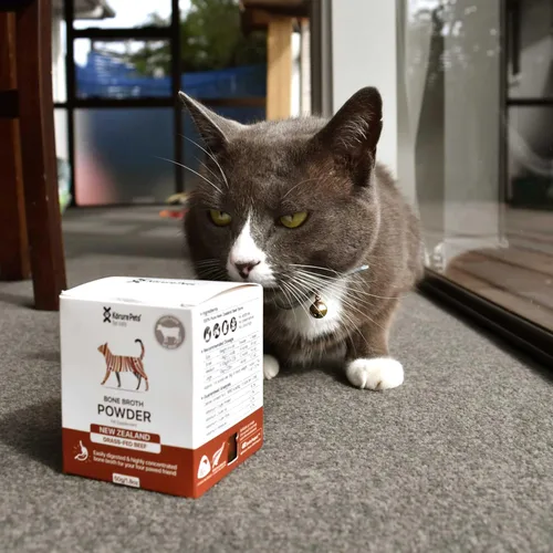 Vista 4 de Polvo de caldo de hueso de res para gatos, suplemento totalmente natural para la salud y digestión ósea