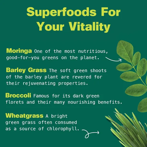 Vista 6 de Kuli Kuli Green Power [6 onzas] - Polvo Super Greens - Mezcla de moringa, pasto de trigo, brócoli y cebada densa en nutrientes, polvo