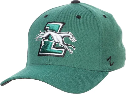 Vista 54 de ZHATS - Sombrero ajustado elástico para hombre de la NCAA, color del
