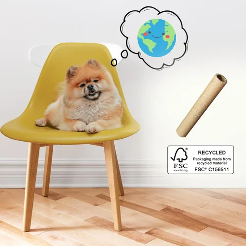 Vista 7 de Home Bolsas compostables para excrementos de perro con asas, bolsas extragruesas a prueba de fugas, sin perfume y ecológicas, 9 x 13 pulgadas