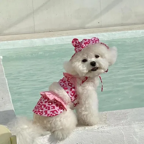 Vista 3 de Traje de baño de bikini de leopardo para perro, traje de baño con Traje de baño para cachorros; ropa de verano para mascotas para perros y gatos Rosa