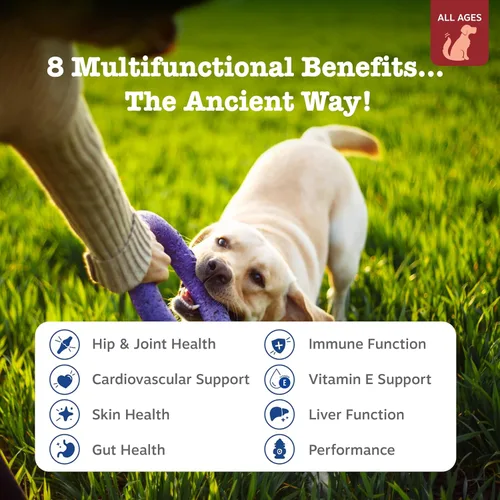 Vista 48 de Zesty Paws Multivitamínico para perros, vitaminas masticables para perros y suplementos para cadera y articulaciones, piel y pelaje, aceite