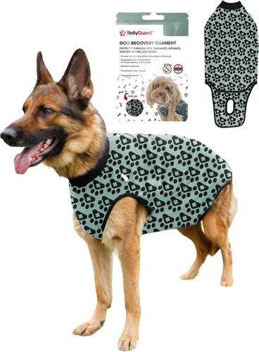 Vista 19 de BellyGuard Traje de recuperación de cirugía para perros, mameluco para perros para cuidado posoperatorio, ropa de recuperación para hembras