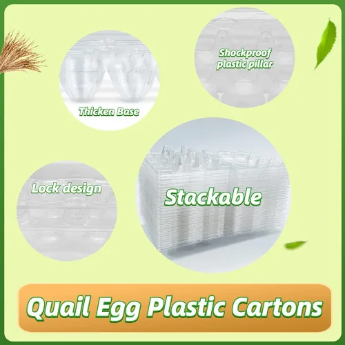 Vista 3 de 50 cajas de huevos de codorniz, 12 rejillas de almacenamiento de huevos pequeños, bandejas de cartón a granel para huevos pequeños, codorniz
