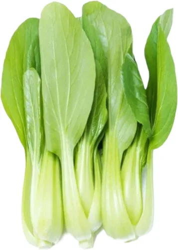 Vista 3 de ZEshops Semillas de col china para plantar: 1000 semillas de verduras de hoja de crecimiento rápido para jardín o contenedores al aire libre