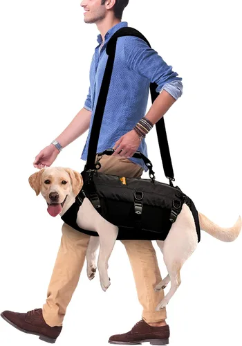 Vista 8 de NeoAlly Arnés de elevación resistente para perros con sistema de apoyo de cuerpo completo y ayuda para la movilidad, soporte de elevación 5 en 1