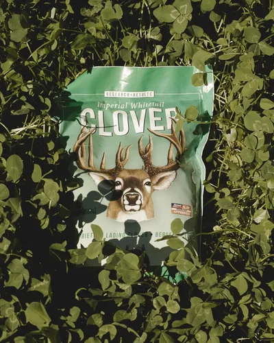 Vista 4 de Whitetail Institute Imperial Clover Semilla para parcela de alimentos para ciervos para siembra de primavera u otoño, promueve el crecimiento