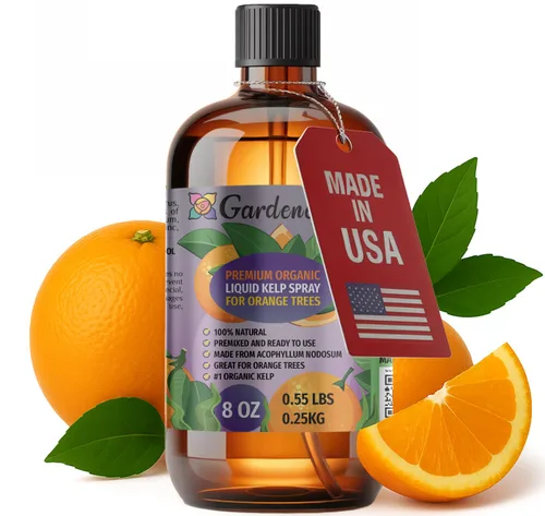 Vista 55 de GARDENERA Superalimento orgánico prémium de algas marinas y algas marinas para plantas AGLAONEMA, 8 onzas, concentrado de fertilizante líquido