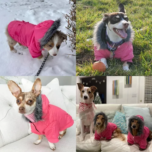 Vista 6 de LESYPET Abrigo para Perros Pequeños, Chaqueta Acolchada a Prueba de Viento para Perros con Agujero para Correa, Chaqueta Extra Cálida para Perro Rosa