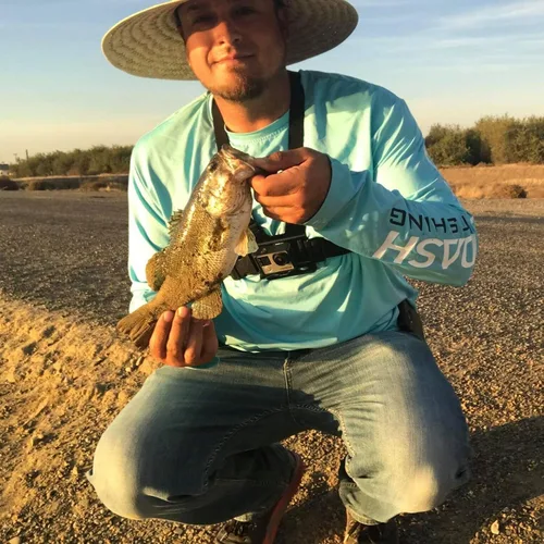Vista 6 de Bassdash Camiseta de manga larga para hombre, ideal para pesca, con protección solar ultravioleta UPF 50+