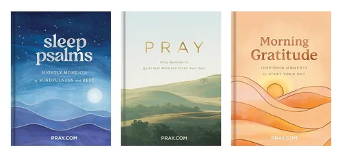 Vista 8 de Pray Daily Moments to Quiet Your Mind and Center Your Soul - Prayer Devotional