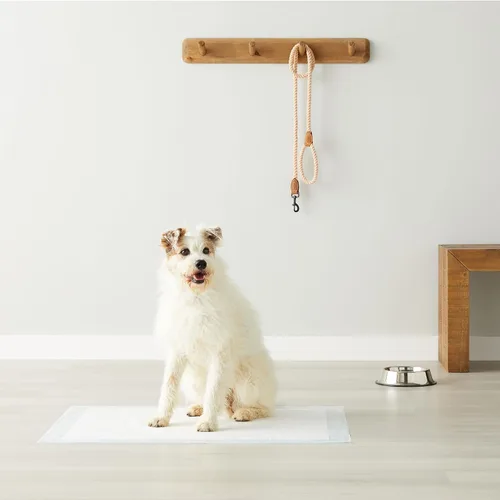 Vista 5 de Amazon Basics Almohadillas absorbentes para cachorros extra grandes, a prueba de fugas, de secado rápido, 28 x 34 pulgadas, paquete de 50, azul