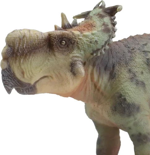 Vista 8 de Pachirhinosaurus (GuoSheng)