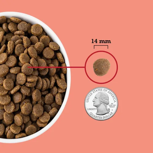 Vista 5 de ACANA Alimento seco sin granos para perros Receta de carne roja Bolsa de 4.5 libras