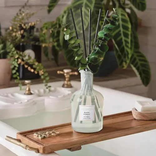 Vista 5 de COCORRÍNA Difusor de Aroma con Varillas del Bosque Negro – 200 ml de Aceite Esencial con Varillas y Ramas Secas de Eucalipto, Fragancia