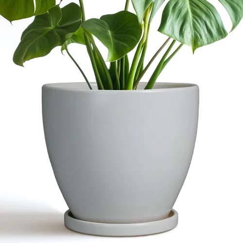 Vista 28 de Macetas de Cerámica EPFamily - Macetas de 6 Pulgadas para Plantas de Interior y Exterior, Maceta Redonda con Agujero de Drenaje y Platillo, Macetas