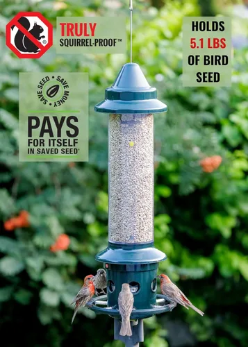 Vista 3 de Squirrel Buster Plus - Comedero para pájaros a prueba de ardillas con anillo cardenal y 6 puertos de alimentación, capacidad de semillas de 5.1