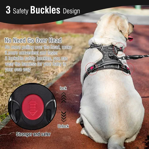 Vista 5 de SCENEREAL Arnés y correa para perro sin tirones, chaleco acolchado suave reflectante de 360 con correa resistente de 5 pies para perro y 3 hebillas