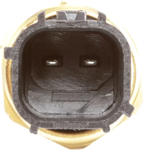 Vista 4 de Delphi TS10154 Sensor de temperatura del refrigerante del motor, 1 paquete